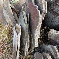 鉄平石 大の画像