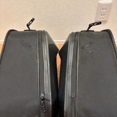 TANAXカービングシェルケースの画像