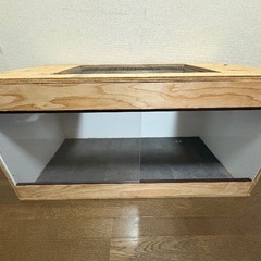 爬虫類ゲージの画像