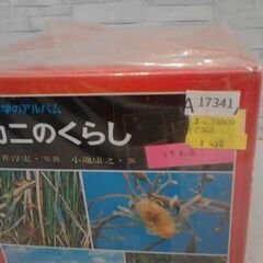 絵本セット　カニのくらし　など　A17341の画像