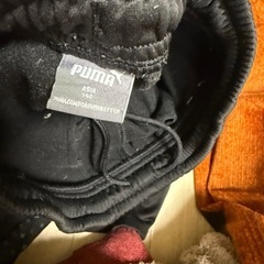 プーマ140の画像