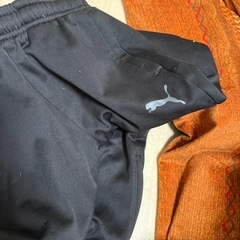 プーマ140の画像