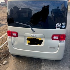 今日限定ダイハツ　　タントL375s　の画像