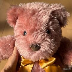 【無料】ぬいぐるみ（引き取りに来て下さる方）の画像