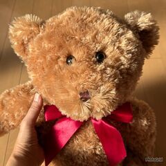 【無料】ぬいぐるみ（引き取りに来て下さる方）の画像