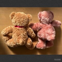 【無料】ぬいぐるみ（引き取りに来て下さる方）の画像