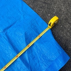 ブルーシートの画像