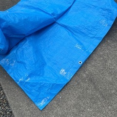 ブルーシートの画像