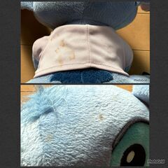 【無料】ぬいぐるみ（引き取りに来て下さる方）の画像