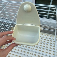 小動物ゲージ　うさぎの画像