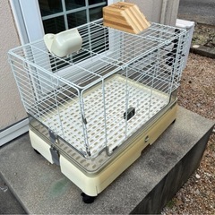 小動物ゲージ　うさぎの画像