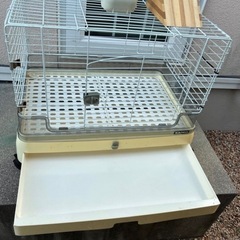 小動物ゲージ　うさぎの画像