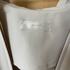 anySISパーカーの画像