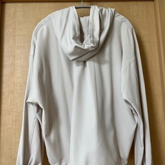 anySISパーカーの画像