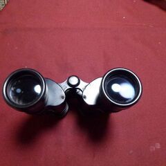 ニコン双眼鏡　１２×４０　５.５°　WFの画像