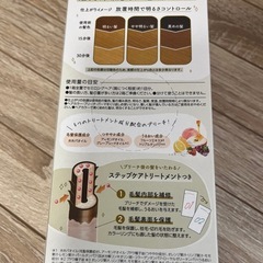 パルティ　ブリーチの画像