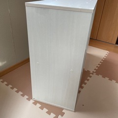 【アイリスオーヤマ】カラーボックス A4対応｜状態良好 の画像