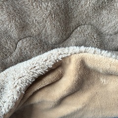 【引取希望】
こたつ120×80cm(布団付き)の画像