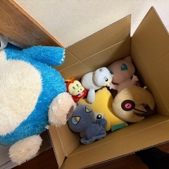 ぬいぐるみの画像