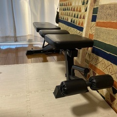 Steady トレーニングベンチの画像