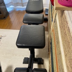 Steady トレーニングベンチの画像