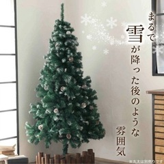 急げ💨ナチュラル🌲クリスマスツリー🧑‍🎄は来ないけど！幸せ🥰が付いてきます❤️の画像