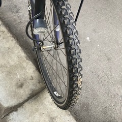 ブリジストンの画像