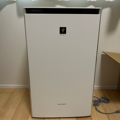 マイナン ホロ PSA10