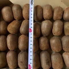 【取引希望日時を複数ご提示ください】小さいキウイフルーツ  １キロの画像