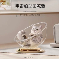 猫ドーム？製品名わかりませんの画像