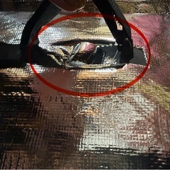 (お話し中)Uber eats公式バックの画像