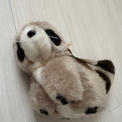 アライグマのオルゴールの画像