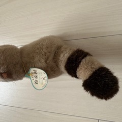 アライグマのオルゴールの画像