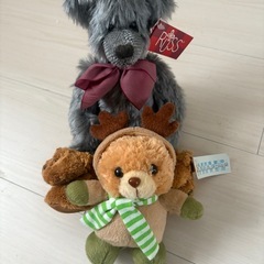 シュナイダー犬とクマのぬいぐるみの画像