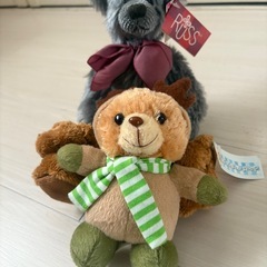 シュナイダー犬とクマのぬいぐるみの画像