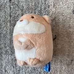 すみっこぐらし　ぬいぐるみの画像