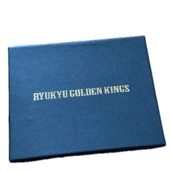 未使用品　琉球ゴールデンキングス　パスケースの画像