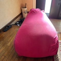  ヨギボー の画像