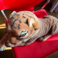 ぬいぐるみの画像