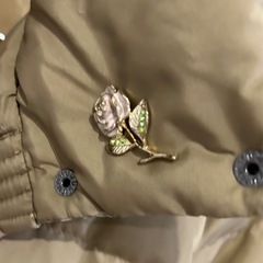 ロングダウンの画像