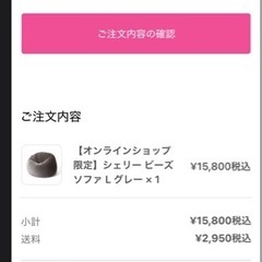 Francfranc  ビーズソファ　新品未開封！の画像