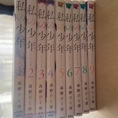 漫画　マンガ　わたしの少年全巻セットの画像