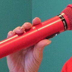 ボーカルレッスン　半額キャンペーン開催　１月末までの画像