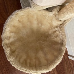 キャットタワーの画像