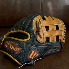 未使用品　Wilson 軟式野球用グラブ グローブ ワナビーヒーロー DW5型の画像