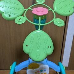 プーメリーの画像