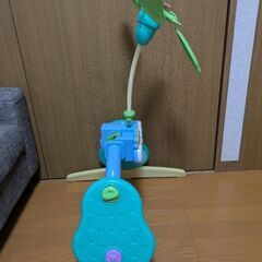 プーメリーの画像