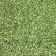 お話し中です。人工芝✨の画像