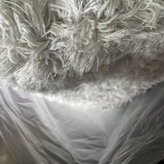 じゅうたんの画像