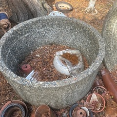 コンクリ
の画像